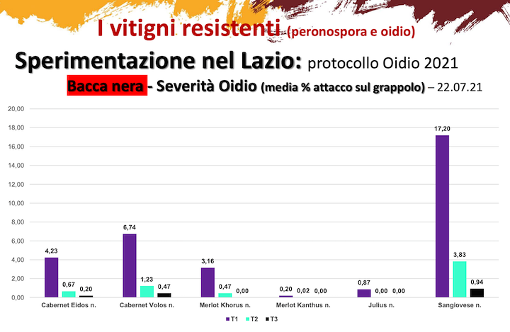 Grafico: La sperimentazione nel Lazio